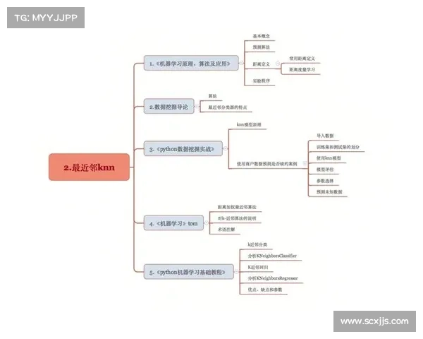 TomTom导航技术如何通过实时数据和智能算法提升出行精准性与效率