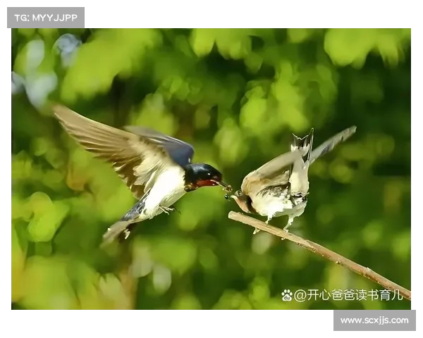 冰虎宝宝如何在极地寒冷环境中生存与适应的独特技巧揭秘