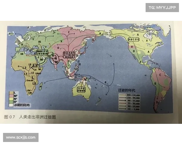 文化交流在不同文明碰撞中的作用与历史进程的深远影响分析