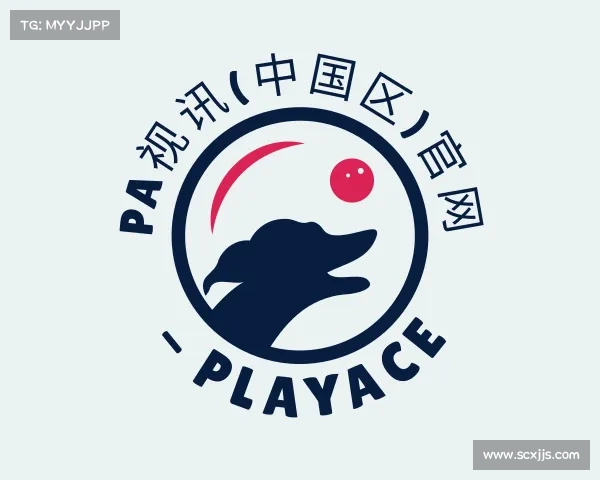 介绍PA视讯(中国区)官网 - PlayAce